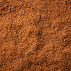 Canela em pó 100G