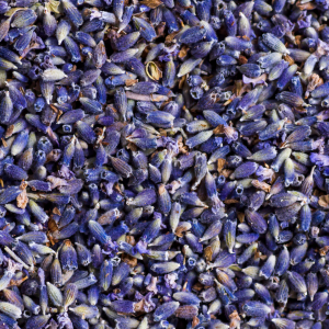 Alfazema Azul (Lavanda) 100G